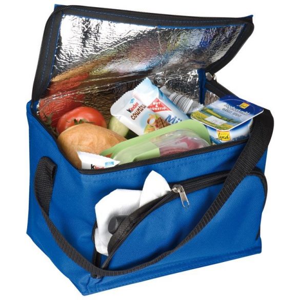 Geanta termoizolanta pentru picnic/plaja, 12L, Albastru